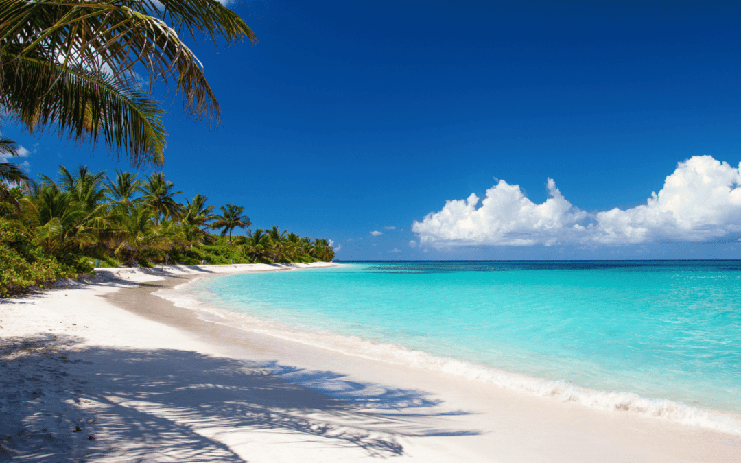 Playa Flamenco : plage paradisiaque de sable blanc eau turquoise et palmiers sur l'île de Culebra à Porto Rico
